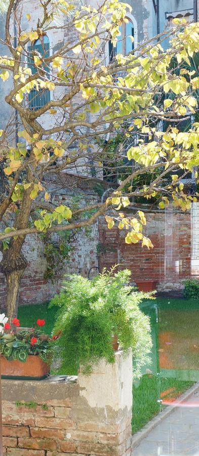 B&B Hortus Venice Exterior photo